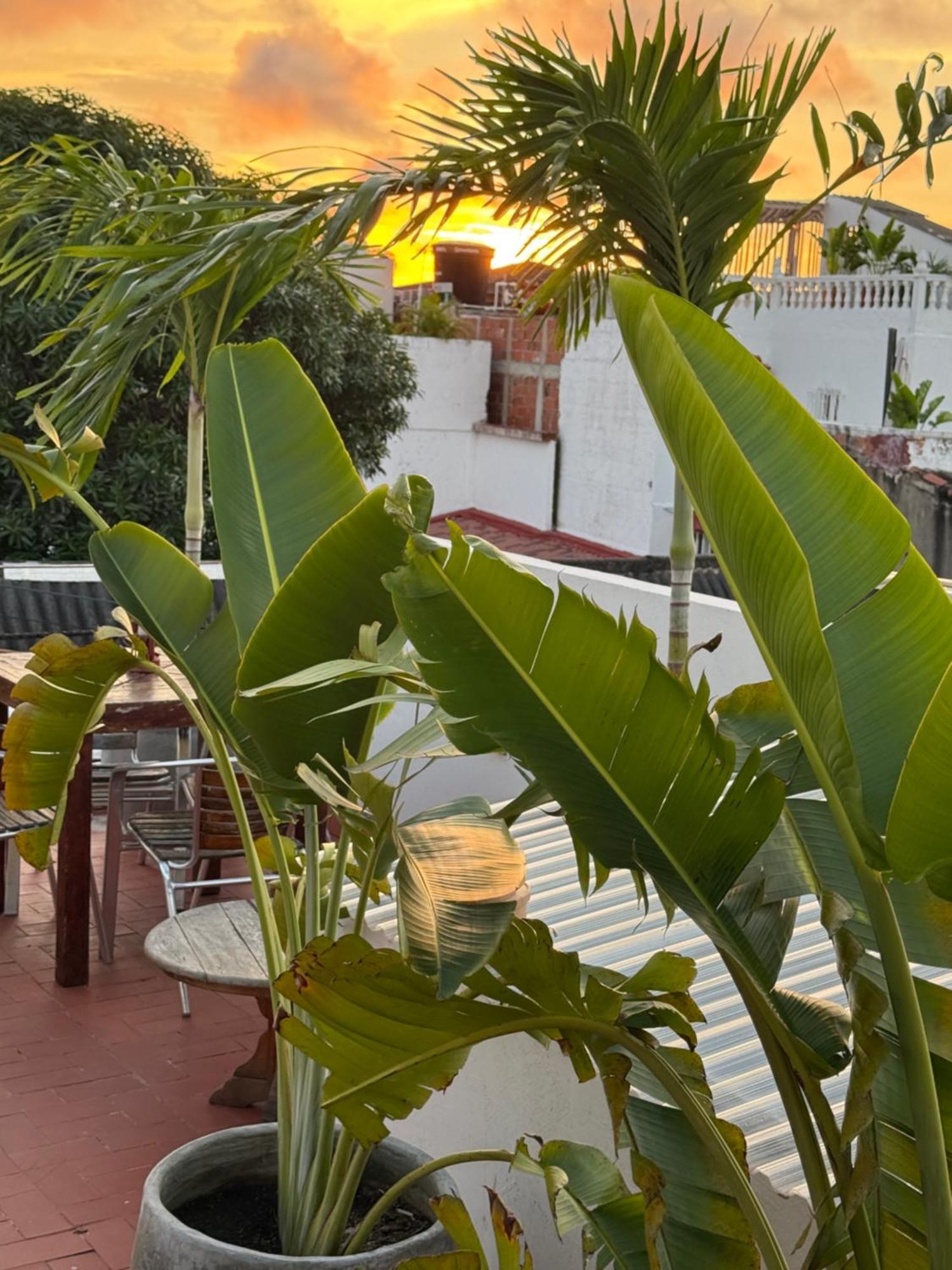 Pachamama Hostel Cartagena Exterior foto